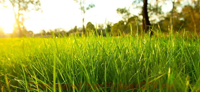 手机版ddos攻击器