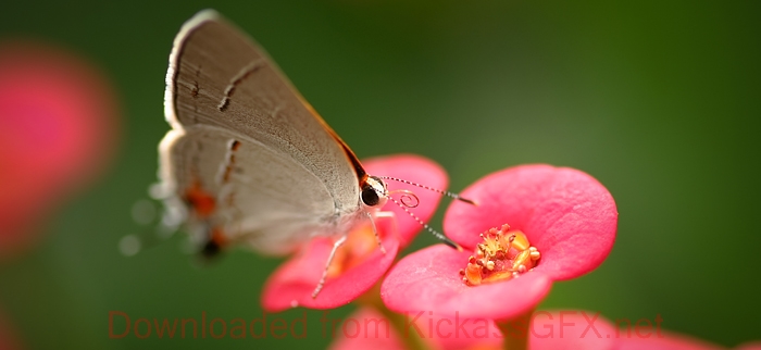 免费ddos攻击网页端