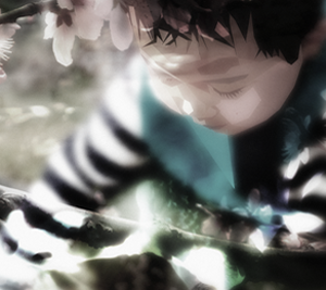 攻击网站服务器